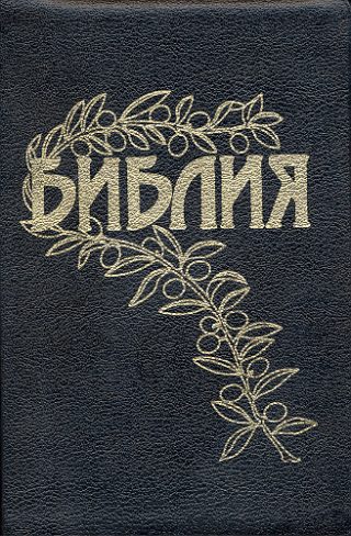 0100-BG